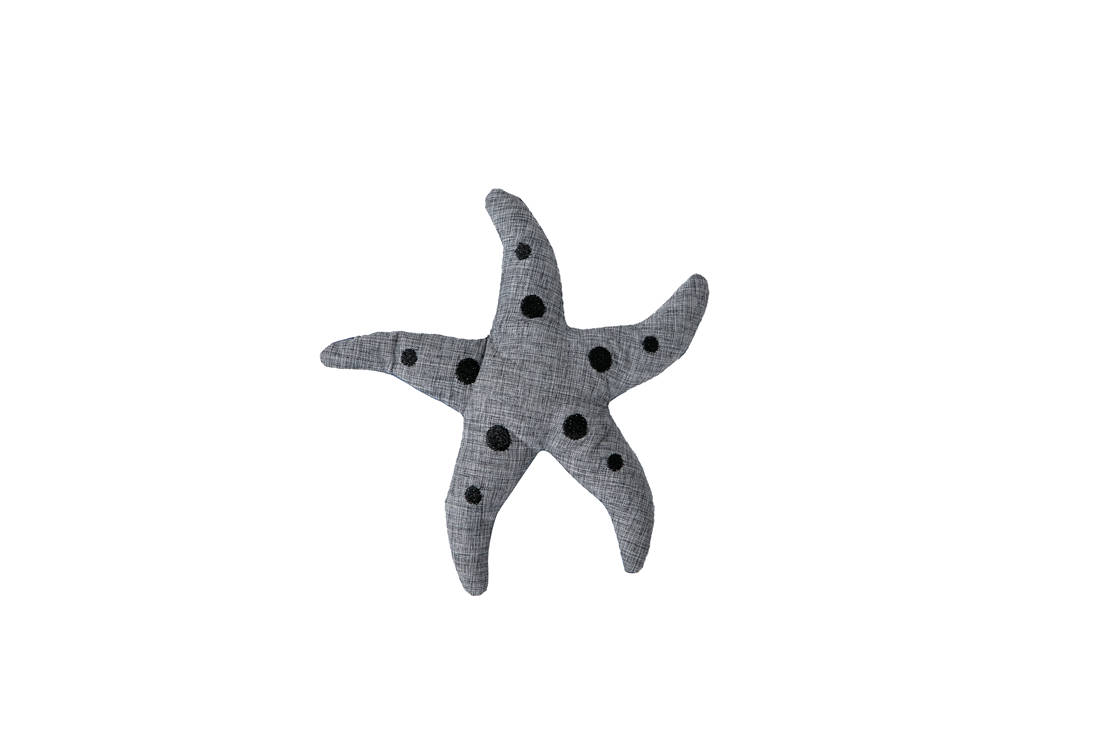 Juguete ECO Starfish